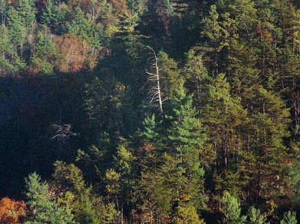 Red River Gorge in Fall